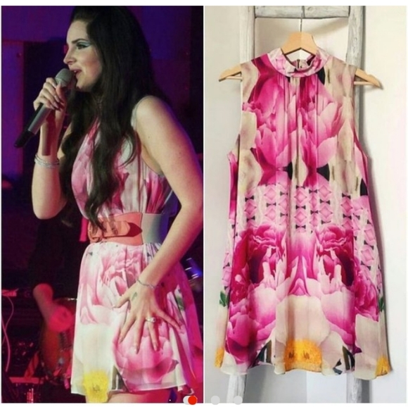 Ted Baker Dresses & Skirts - SOLD Lana Del Rey dress